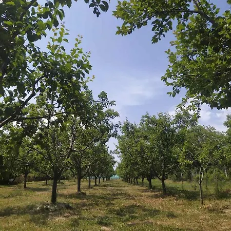 Kuca Za Odmor Sig Tatil Evi *